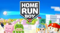 Home Run Boy - Baseball Hitting Game