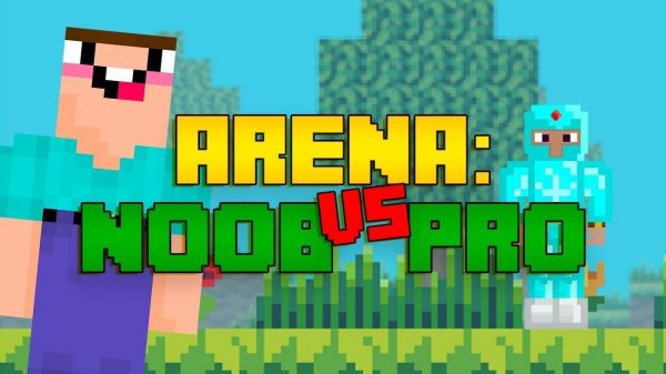 Arena: Newcomer to Expert Multiplayer Match