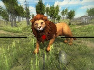 Safari Adventure 3D Simulation