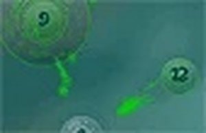 Microbial Expansion Tactics