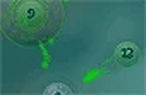 Microbial Expansion Tactics