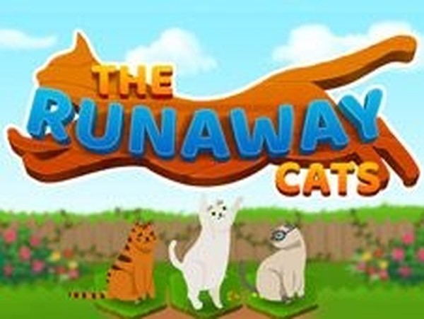 Cat Escape Logic Puzzle